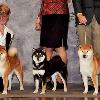Dance - Te'a (Kimi's mother) - Timmy at first Eukanuba Breeders Challenge