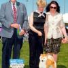 Kimi - Silverstake Kennel Club