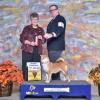Kimi BOS Grand Champion