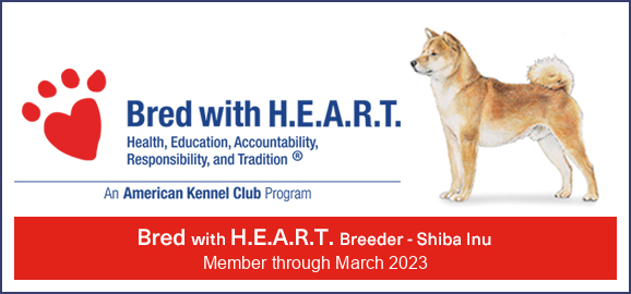 Sho Mai Sou Bred with H.E.A.R.T. 2020